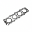 Exhaust Manifold Gasket