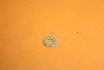 Picture of FLAT WASHER