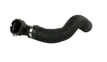 1395684080 Afbeeldingen van V.V.D. 46863332