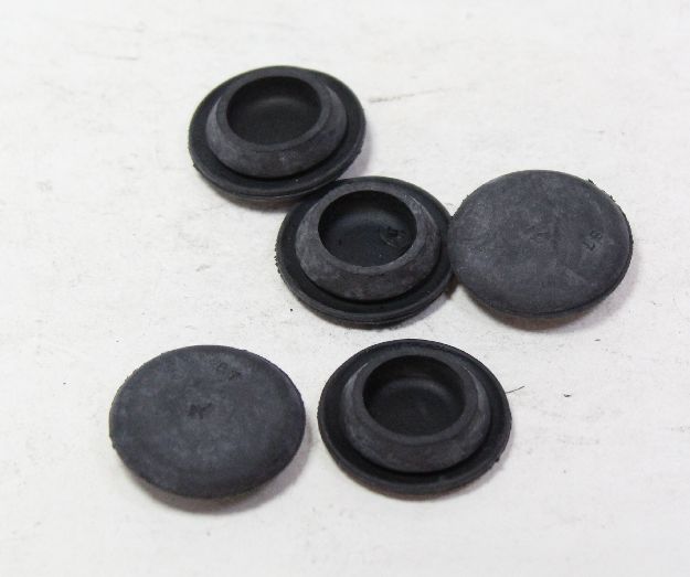 Picture of PLUG