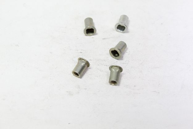 Picture of RIVET