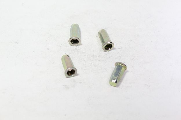 Picture of RIVET
