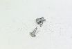 Picture of SCREW