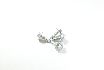 Picture of SCREW