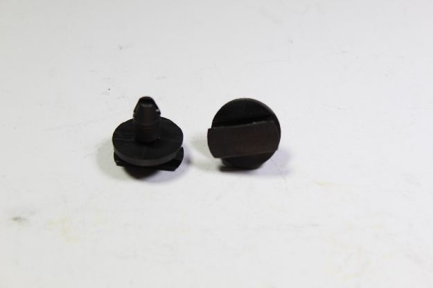 Picture of CLIP
