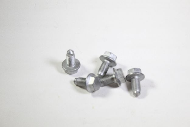 Picture of SCREW