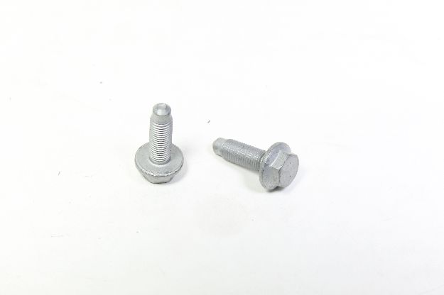Picture of SCREW