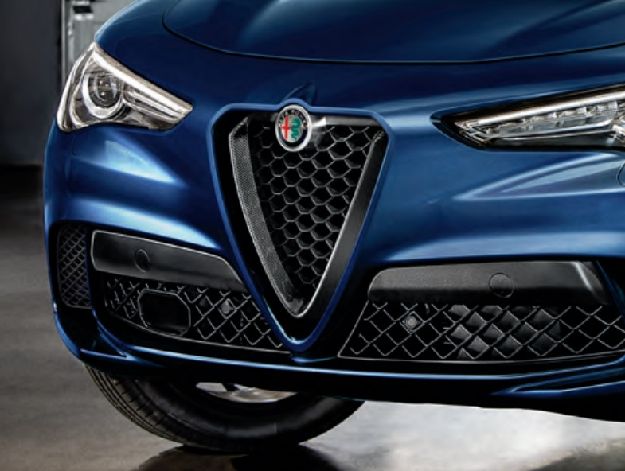 Afbeeldingen van GRILLEHART CARBON STELVIO