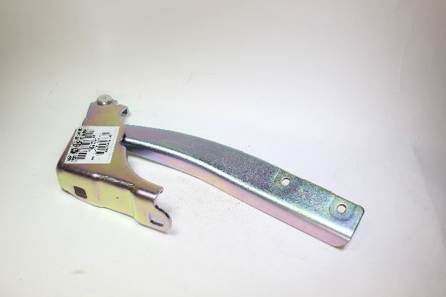 Picture of HINGE