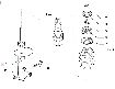 Picture of SHOCK ABSORBER