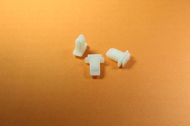 Picture of CLIP