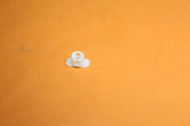 Picture of CLIP