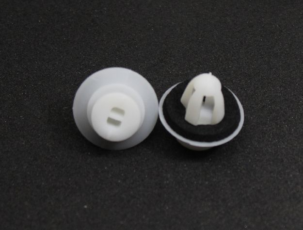 Picture of CLIP