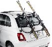 Picture of SKI CARRIER