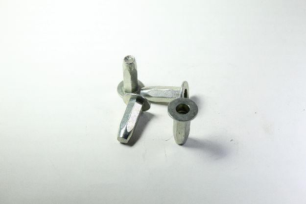 Picture of RIVET