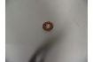Picture of SEALING GASKET