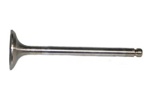 FIAT GROUP - INTAKE VALVE - 46761369 