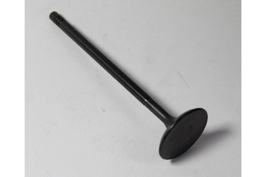 FIAT GROUP - INTAKE VALVE - 55215126 