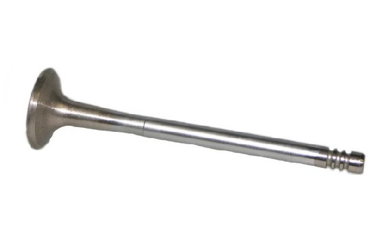 FIAT GROUP - EXHAUST VALVE - 60674496 
