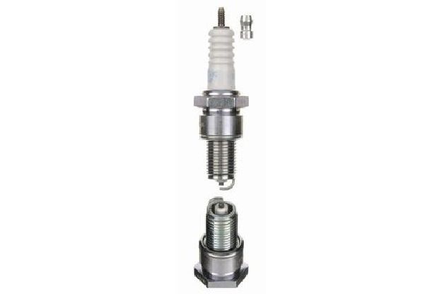 Afbeeldingen van BOUGIE